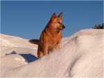 sunny december (13)