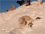 sunny december (15)