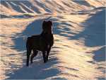 sunny december (16)