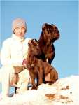 sunny december (18)
