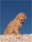 sunny december (9)