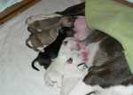 all sister together