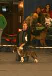 Kana in Best In Show