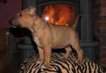7 weeks