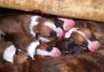Sun Dec 13 12:16:00 2009
