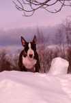 Fri Mar 19 13:09:39 2010