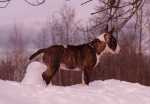 Fri Mar 19 13:09:39 2010