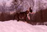 Fri Mar 19 13:09:39 2010