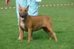Sun Aug 15 11:59:07 2010