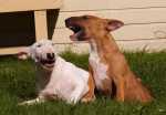friends:)