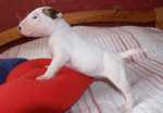 P6161923