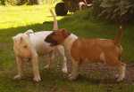 Missu & Tyyne